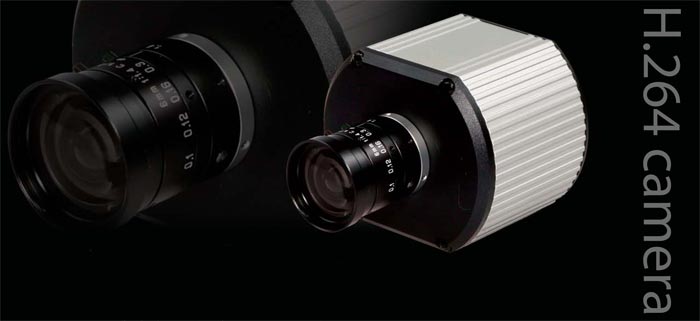 AV3105