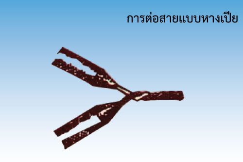 การต่อสายไฟระบบกล้องวงจรปิดแบบต่างๆ การต่อสายไฟระบบกล้องวงจรปิดแบบต่างๆ