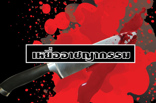 เหยื่ออาชญากรรม เหยื่ออาชญากรรม